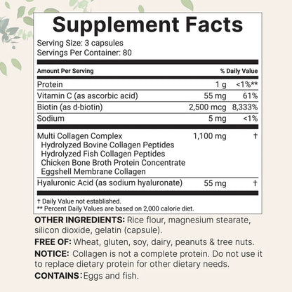 NutriCore Collagen+ Peptides – Reverse Aging from the Inside Out